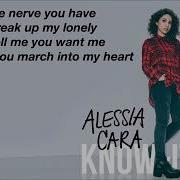 Alessia Cara I M Yours Lyrics Video