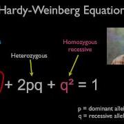 Solving Hardy Weinberg Problems