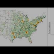 Pandemic Influenza Computer Model No Soundtrack
