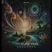 One Function Splashes
