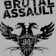 Brutal Assault 2014 SJ4000
