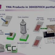 3DHISTECH Digital Pathology On The Move TMA