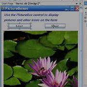 VB Visual Basic 2008 Control Properties Picture Boxes