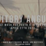 197 Media Auditory Anguish 04 27 2024