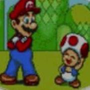 Toad Tribute