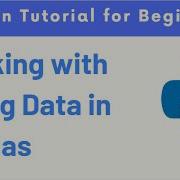 How To Process And Manipulate Python Pandas DataFrame String Columns Or Text Data Columns
