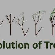 Evolution Of Trees Artificial Selection For Beauty