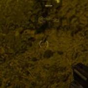 HL2 Bugbait
