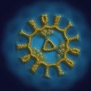 Particle Lenia
