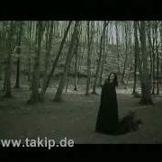 Tamer Alcan Kalpsiz