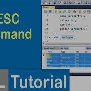 11 DESC Command In SQL SQL Tutorial