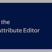 Seller Academy Using The Bulk Attribute Editor