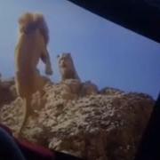 The Lion King 2019 Mufasa Death Scene Comparison With 1994 Original