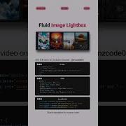 Fluid Image Lightbox CSS JavaScript Tips Tricks Coding Css Shorts Javascript Webdesign