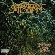 Suffocation Breeding The Spawn HQ