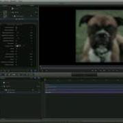 Motion 5 Beginners Tutorial Really Simple