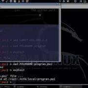 Stack Based Buffer Overflow In Publish It