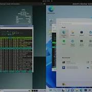 Antix 21 Vs Windows FX 11