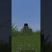 Watch How You Can Create A Car In Minecraft Vanilla