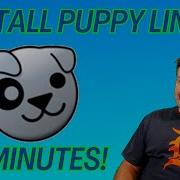 Bring An Ancient Computer Back To Life Install Puppy Linux In Minutes