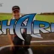 Shark Multiplex Weymuller