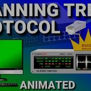 Протокол Spanning Tree CCNA пояснения