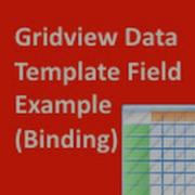 How To Bind GridView To Data In A Templated Control In ASP NET