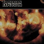 Cambrian Explosion The Sun Full EP 2013