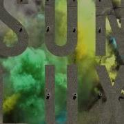 Son Lux Flickers Instrumental