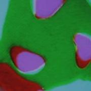 Analogue Video Feedback Experiment 2