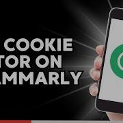 How To Use Cookie Editor On Grammarly