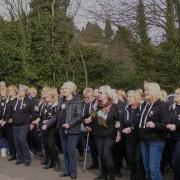 Got 2 Sing Showreel 2014