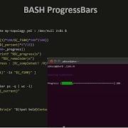 Bash Progress Bar Spinner