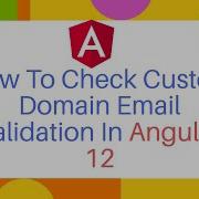 Angular 12 How To Check Custom Domain Email Validation