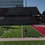 Box Agility COD Flag Drill 2