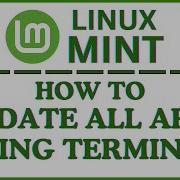 How To Update All Software At Once Using The Terminal In Linux Mint