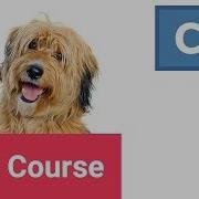 Learn CSS Typography