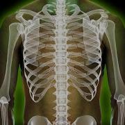 What Does Radiation Poisoning Do To Your Body