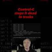 Runaway Python Script How To Stop It Python Shorts