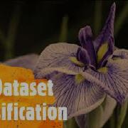 Iris Data Classification Using Decision Tree Data Science And Business Analytics GRIPNOV20