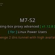 Singbox Proxy Advanced M7 S2 DNS Tunnel с высокой доступностью