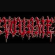 Devourment Festering Vomitous Mass Demo Version