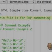 Tutorial 3 PHP Comments