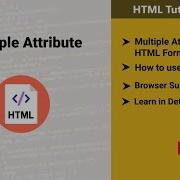Multiple Attribute On Input And Select Tag Multiple Attribute In Html Form HTML Tutorial