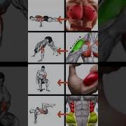 GET FIT FAST With These POWERFUL Exercises For Abs Chest Shoulders Arms Workout Exercise