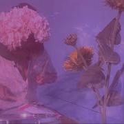 Spaceface Earth In Awe Official Video
