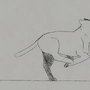 Cat Run Cycle Animation Test