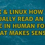 Unix Linux How Do I Actually Read An XML File In Human Form That Makes Sense 4 Solutions