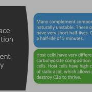 Regulation Of The Complement System