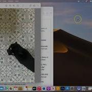 Module 2 Assignment Step By Step